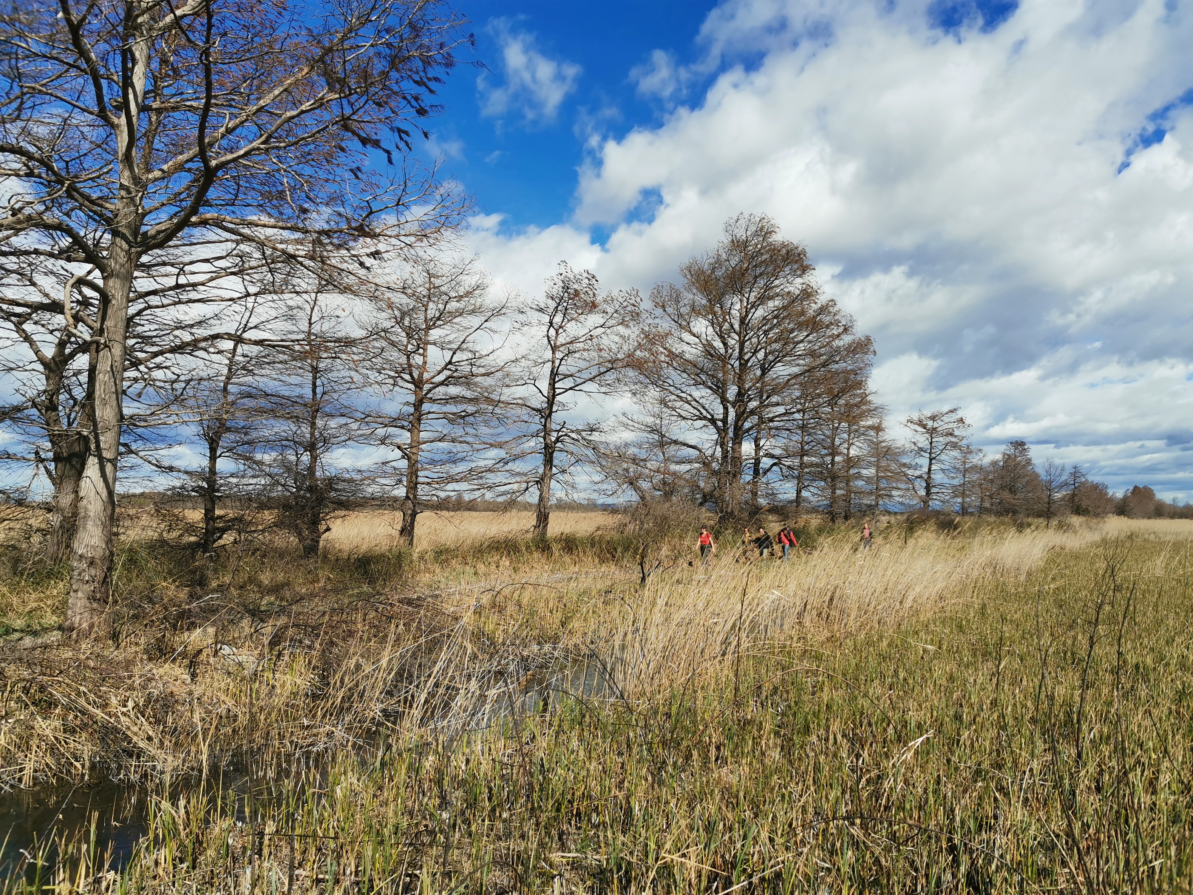 Sortie nature et patrimoine 